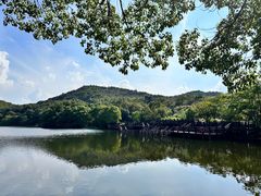 -白马涧龙池景区