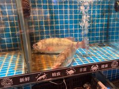 -德尚煌·顺德菜(誉山悠方天地店)