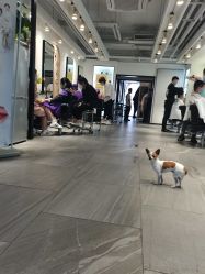 -LJOY丽锦造型·烫发染发