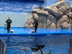 -福州罗源湾海洋世界旅游区