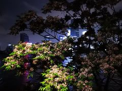 -上海山野camping·户外天幕烧烤·团建拓展营地