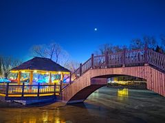 -南宫五洲植物乐园