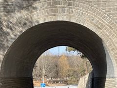 -云岗森林公园
