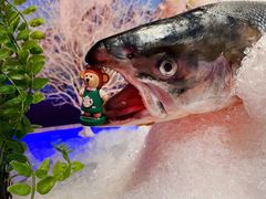 -文三酒肆自助放题(新街口友谊广场店)