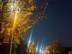 -国际非物质文化遗产博览园
