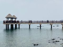 -养马岛旅游度假区