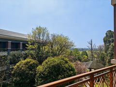 -成都安仁福朋喜来登酒店