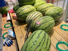 -桂龙果园(大朗中央公园店)