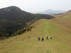 -大姆山草场