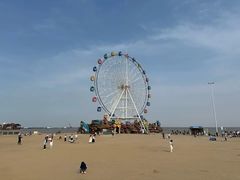 -奉贤海滩