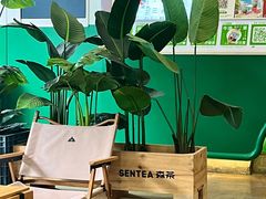 -SENTEA森茶(麦地丽日店)