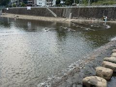 -芦茨金富饭庄·25年老字号·专做稻草鸡
