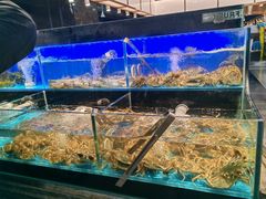 -苏格里岛自助烤肉海鲜火锅(成都金牛万达店)