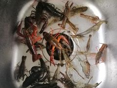 -重庆彩云湖湿地公园