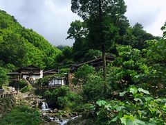 -林坑古村落
