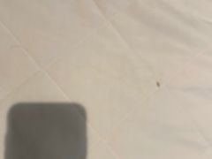-重庆富力艾美酒店