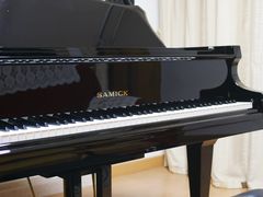 -爱琴海琴行(弘阳广场店)