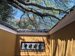 -普陀山慧济禅寺