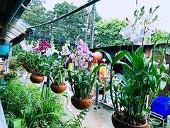 -Onion restaurant