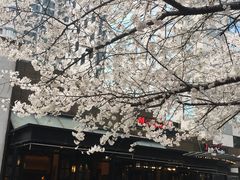 -玛格萝妮比萨屋(四平店)