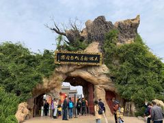 -大槐树寻根祭祖园