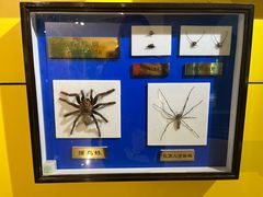 -上海昆虫博物馆