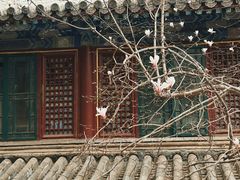 -潭柘寺景区