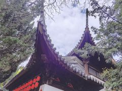 -秋霞圃