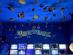-厦门海底世界