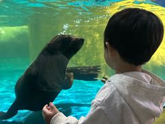 -大连圣亚海洋世界