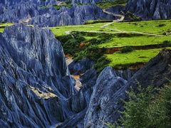 -鲍师傅糕点(淮海中路店)