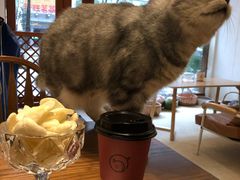 -猫友咖啡店(玉林西路店)