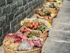 -寂照庵