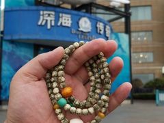 -大连圣亚海洋世界