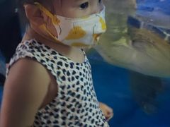 -烟台海昌鲸鲨海洋公园