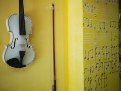 -志龙皇冠吃货椰子铺