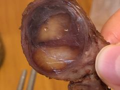 -洪记白水羊头(天坛店)