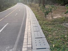-聚龙山公园