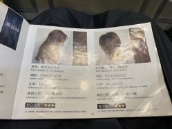 -唐美