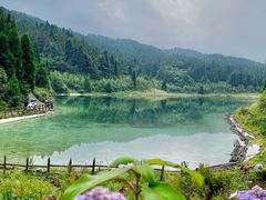 -武陵山森林公园