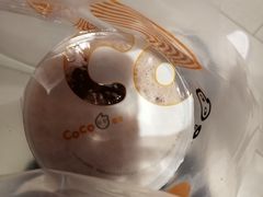 -CoCo都可(方庄店)
