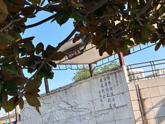 -观潮胜地公园