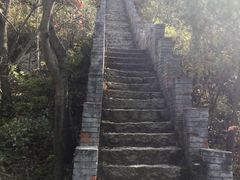 -云岫谷游猎自然风景区