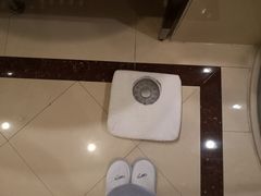 -重庆长寿碧桂园凤悦凤凰酒店