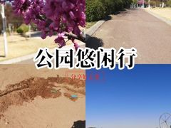 -济南国际园博园