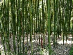 -荆川公园