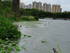 -昆山城市生态森林公园