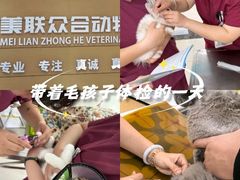 -美联众合动物医院·24h京西诊疗中心