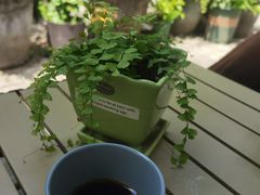 -蓝壁虎咖啡酒馆