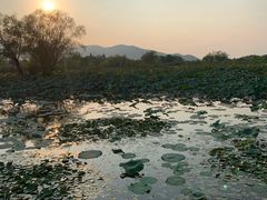 -长兴太湖图影湿地文化园